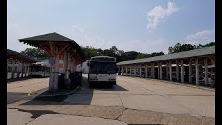 BeeLine Bus Neoplan AN460 amp NABI 40LFW Hybrid Route 13 13B 75 amp 91 Buses  Rye Playland Park [upl. by Yderf77]