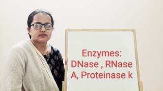 Enzymes DNase  RNase  Proteinase k [upl. by Otter63]