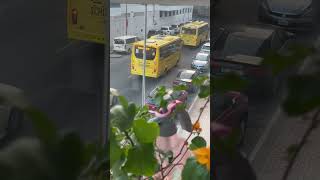 lets go schoolyellow school buses 🚌🚌🚌dubai youtubedubai morning street view [upl. by Vokaay]