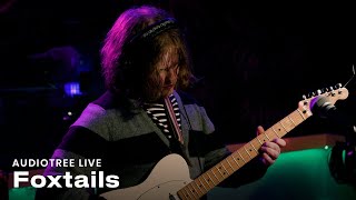 Foxtails  i experienced ego death on an nde thread  Audiotree Live [upl. by Jerry370]