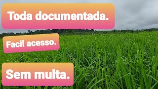 Terra de 20 alqueires 994 hectares documentada a venda em Brasil Novo sitio 05 irmaos [upl. by Werbel]