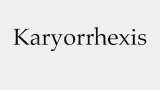 How to Pronounce Karyorrhexis [upl. by Duquette]