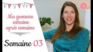 3ème semaine de grossesse – Les nausées [upl. by Retseh]