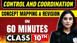 CONTROL AND COORDINATION in 60 Minutes  Science Chapter 7  Class 10th CBSE Board [upl. by Notsirt]