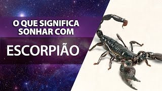 O que significa sonhar com escorpião  João Bidu [upl. by Navanod]