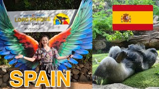 Loro Park FULL VLOG  Tenerife Spain 🇪🇸 [upl. by Siegler]