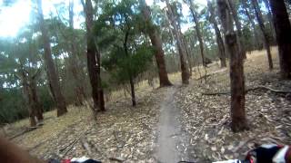 Mountain Biking at Lysterfield  Aneurysm Trail [upl. by Ronen]