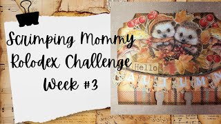 Lets Create A Rolodex Card With Scrimping Mommy Rolodex Challenge Week 3 memorydex [upl. by Aicatsanna]