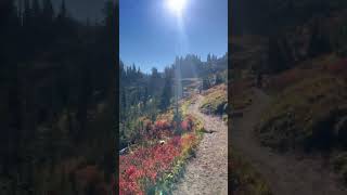 Naches Peak Loop TrailheadMount Rainier National Park [upl. by Hagar]