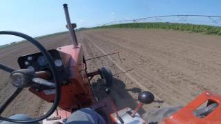 Planting Cover Crop Allis Chalmers 190XT [upl. by Ojok]