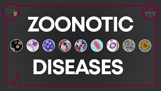 Demystifying Zoonotic Diseases [upl. by Nnylaehs]