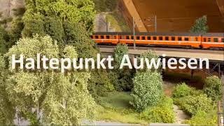 Haltepunkt Auwiesen  2024 Trailer Nr 4 [upl. by Lindsay]