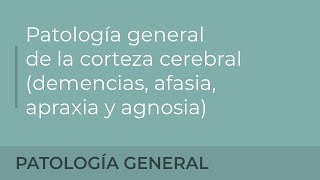 Patología general de la corteza cerebral demencias afasia apraxia y agnosia Julia Nieto Elizalde [upl. by Adnot]