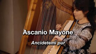 Jacques Arcadelt  Ascanio Mayone quotAncidetemi purquot Baroque harp Marie Nishiyama｜バロックハープ 西山まりえ [upl. by Hu]