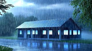 Storm Sounds for Deep Sleep Heavy Rain and Thunder on Tin Roof [upl. by Blackman284]