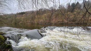 Belgium 20230416 Packrafting Semois Chassepierre  Mortehan [upl. by Cilo78]