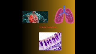 Alveolar duct Alveoli Alveolar sac [upl. by Eryn]