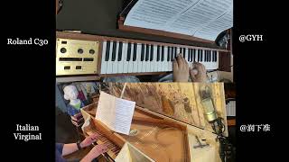 C30 Digital Harpsichord Buxtehude Chaconne in E minor BuxWV 160 [upl. by Downey]