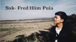 Thlatang Zanmang Lyrics Fred Hlim Puia [upl. by Buckels]