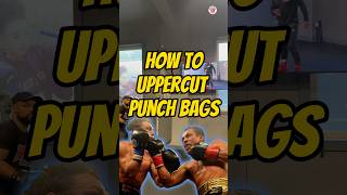 Perfecting Uppercuts on the Punch bag essential tips [upl. by Fachanan464]