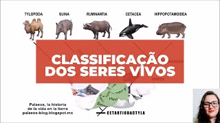 Classificação dos seres vivos [upl. by Atcliffe]