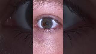 Decided to do this trend but I have sectoral heterochromia  SRRY IVE NOT BEEN POSTING [upl. by Bebe440]