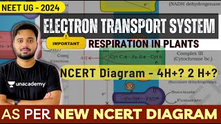 New NCERT I Electron Transport System I Respiration in plants NEET PranavPundarik [upl. by Korns611]