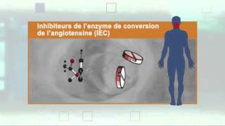 Les inhibiteurs de l’enzyme de conversion de l’angiotensine IEC [upl. by Malim]