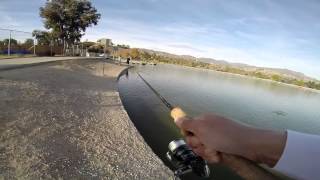 Hansen Dam Lake Fishing [upl. by Eanom]