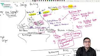 ANS cholinergic drugs Pharmacology for FMGE NEET PG By Dr Ashish [upl. by Udelle476]