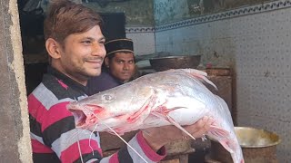 Singhara Fish Cutting Skills Live Fish Market [upl. by Bartholomew]