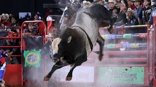 Rodeio de BARRETOS 2022  QUINTA FEIRA MELHORES MOMENTOS  TOUROS 4K [upl. by Ayin]