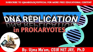 DNA REPLICATION in prokaryotes molecular biology molecular inheritance  CSIR NET LIFE SCIENC [upl. by Yelhak]