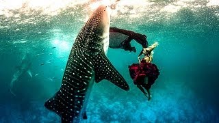 Models swim with whale sharks for fashion shoot [upl. by Jonati]