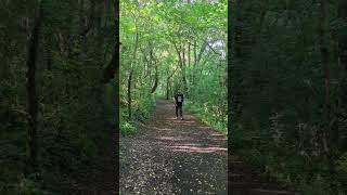 Envill country park england nature nationalparks youtubeshorts fypp [upl. by Ennairak25]