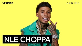 NLE Choppa quotSlut Me Out 2quot Official Lyrics amp Meaning  Genius Verified [upl. by Meuser593]