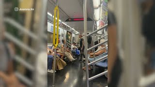 Disturbing video shows attack on F train in Manhattan [upl. by Ardnuasal]