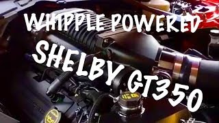 Phenomenal Whipple supercharged 2016 Shelby gt350 [upl. by Eta]