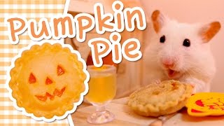 🎃 Pumpkin Pie  HAMSTER KITCHEN 🎃 [upl. by Renner]