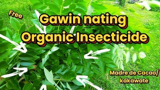 65 Paano gumawa nang Organic Insecticide gamit ang Madre de Cacaokakawate [upl. by Sammer76]