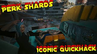 Two Hidden Airdrops in Dogtown  Cyberpunk 2077 [upl. by Valora576]