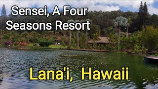 Sensei Lanai A Four Seasons Resort Hawaii  Nobu Restaurant [upl. by Banna]