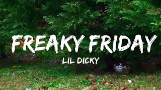 Lil Dicky  Freaky Friday Lyrics ft Chris Brown [upl. by Aicilla75]