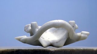 Marble Sculpture Time Lapse  Shoulder Blades by Athar Jaber [upl. by Acinoryt]