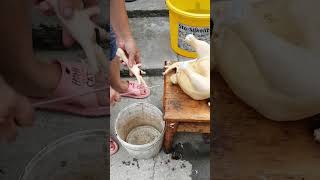 How to pluck a chicken at home with just your hands and a knife chicken farming [upl. by Airetas359]