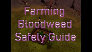 How to Safely Farm Bloodweed Herbs In The Wilderness With Little Risk [upl. by Malaspina]