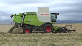 Melton Vale Grass Seed Harvest 2024 Part 1 [upl. by Anaet]