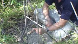 How to make a primitive trap the tbar snare wilderness survival traps [upl. by Iztim949]