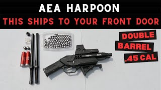 This AEA Harpoon Double Barrel 45 Caliber Pistol Shipped Straight To My Front Door Lets try it out [upl. by Hendry85]