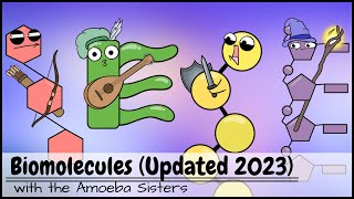 Biomolecules Updated 2023 [upl. by Vaden11]